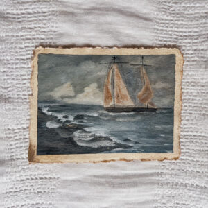 Through the Storm vol. ii